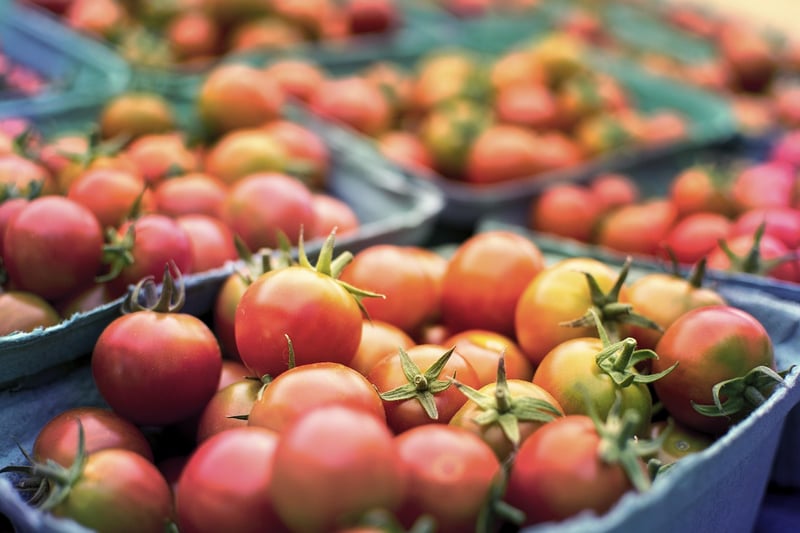 Mediterranean Vegetables